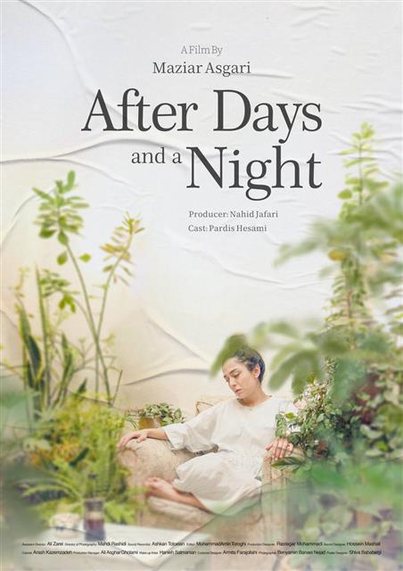 روزها رفت و شبی