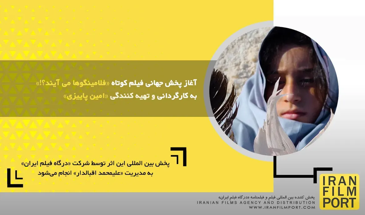 آغاز پخش جهانی فیلم کوتاه «فلامینگوها می آیند» به کارگردانی و تهیه کنندگی «امین پاییزی»